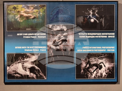 Варна - Четвърти международен салон за подводна фотография „Протей“