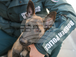 Снимка: МВР