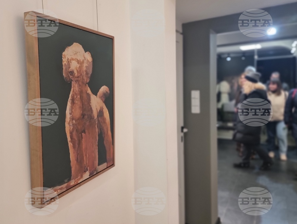 Бургас - Иво Бистрички - изложба „Открити пространства“