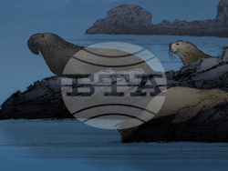 SCI--Extreme Animal Sleep