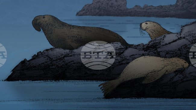 Животните успяват да спят, дори когато са в опасност, показва проучване 