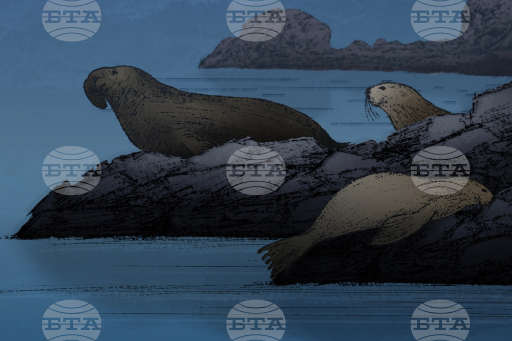 Животните успяват да спят, дори когато са в опасност, показва проучване 