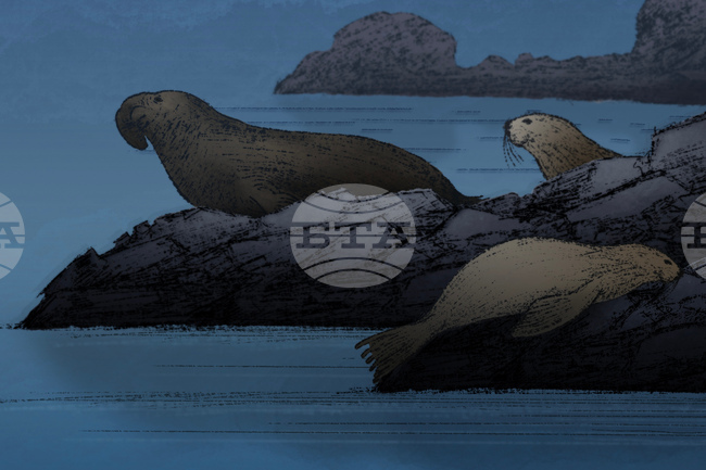 Животните успяват да спят, дори когато са в опасност, показва проучване 