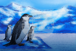 SCI--Extreme Animal Sleep