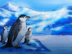 SCI--Extreme Animal Sleep