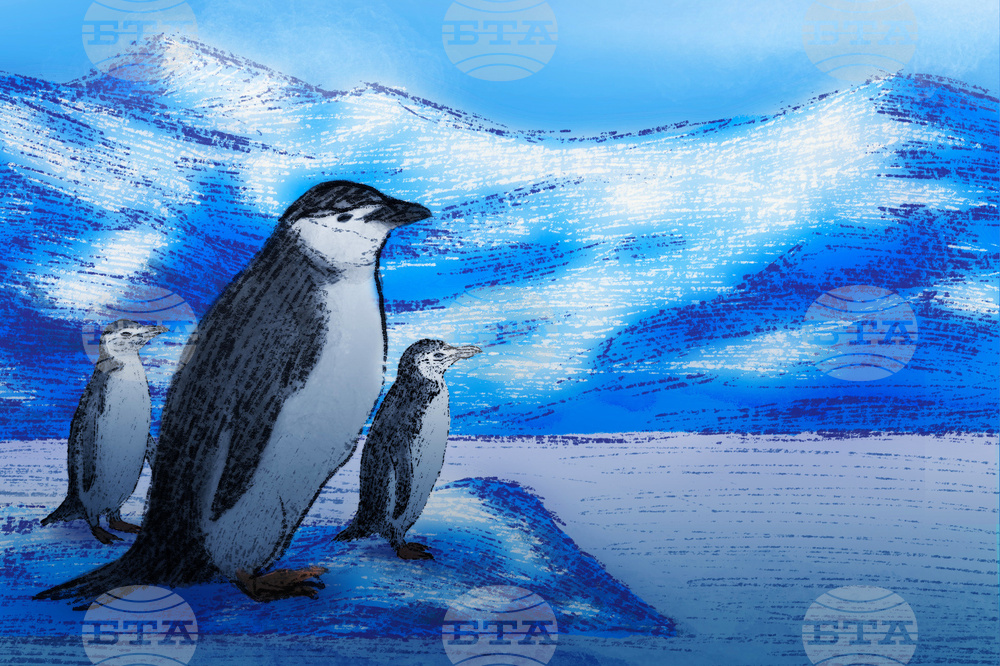 SCI--Extreme Animal Sleep