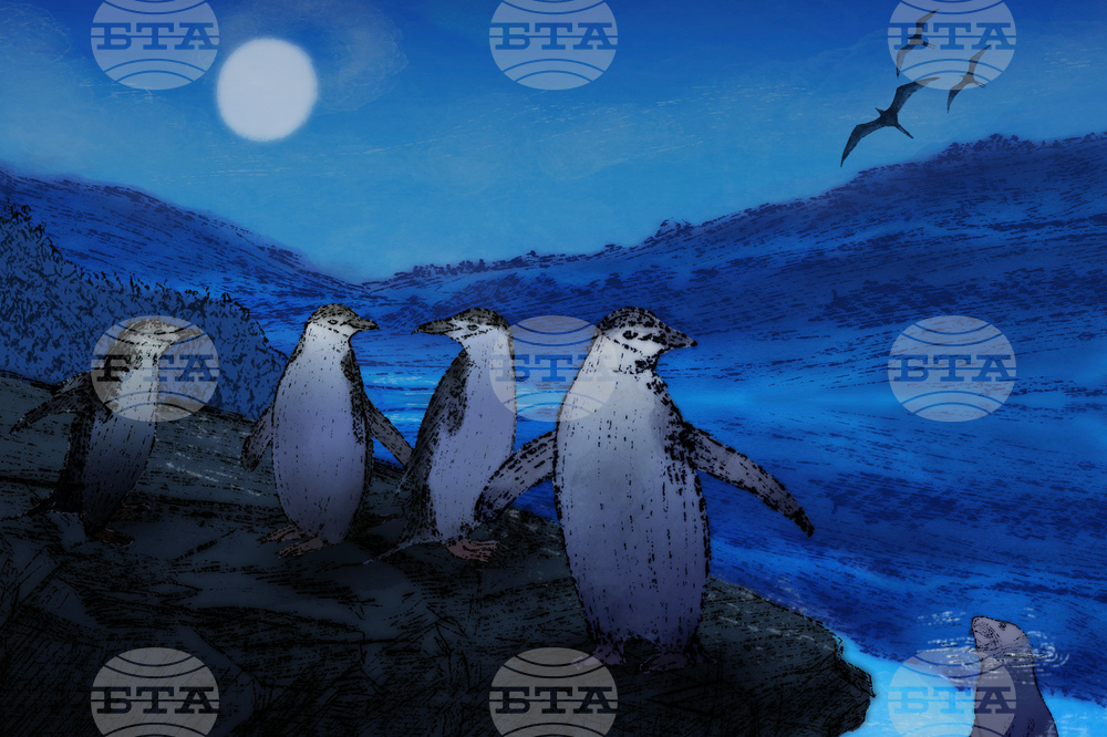 SCI--Extreme Animal Sleep