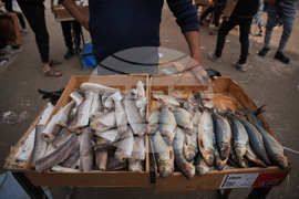 Israel Palestinians Gaza