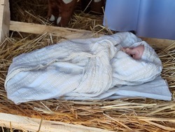 Село Ноевци - НЧ „Пробуда - 1931“ - Рождественски кът