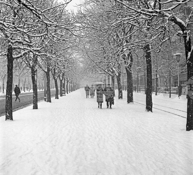Снежна София през 1967 година
