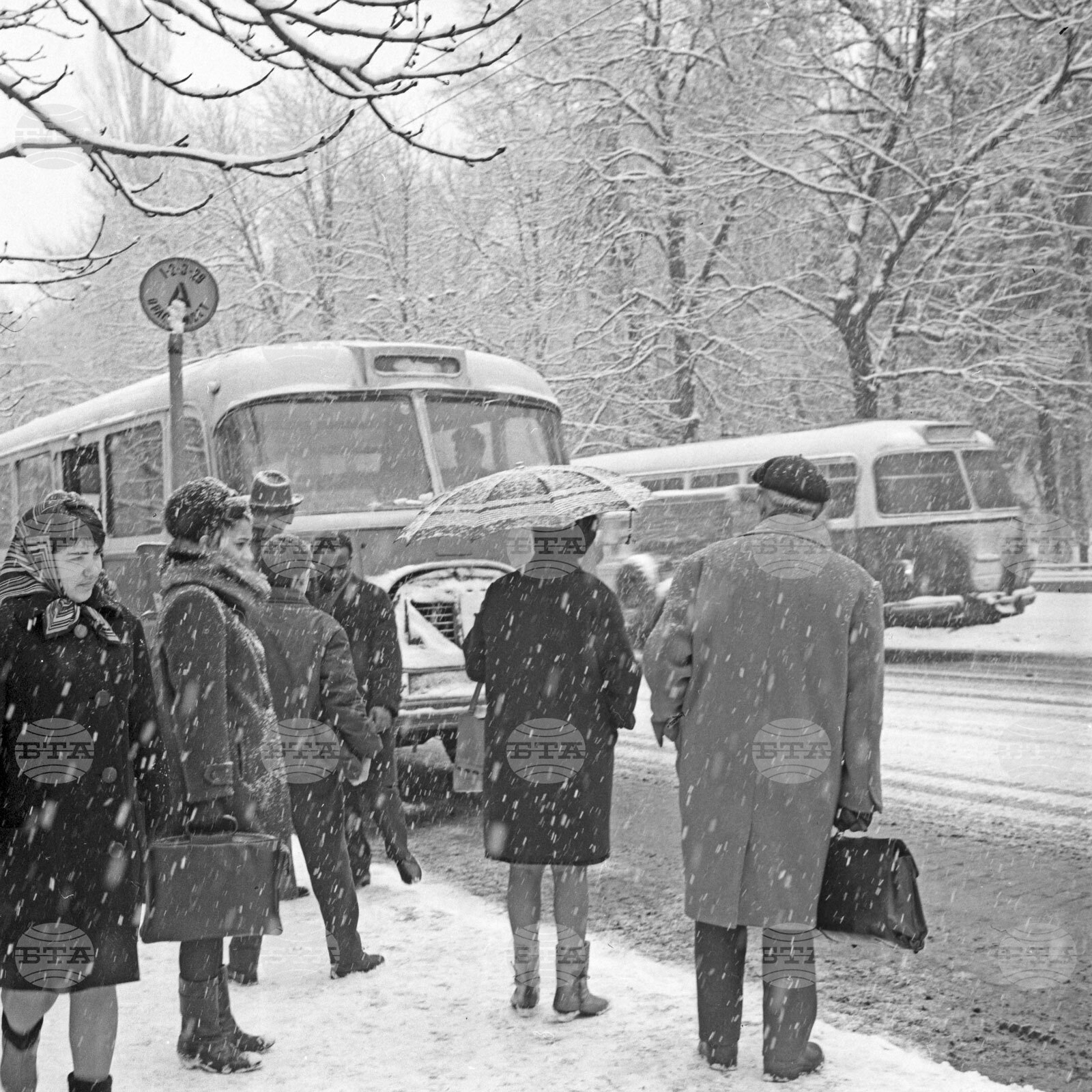 Снежна София през 1967 година