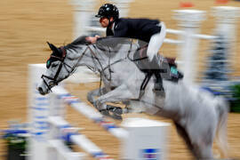 Britain International Horse Show