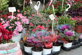 Гърция - фермерски пазари - продукти