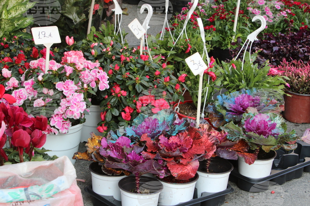 Гърция - фермерски пазари - продукти