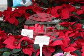 Гърция - фермерски пазари - продукти