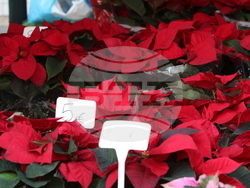 Гърция - фермерски пазари - продукти