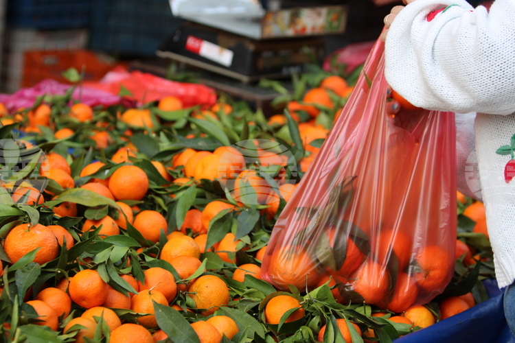 Sellers at Greek Traditional Outdoor Markets Begin Indefinite National Strike