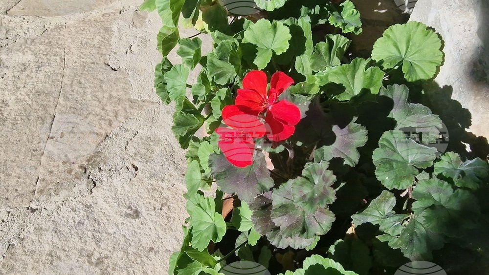 Троян - махала „Баба Стана“