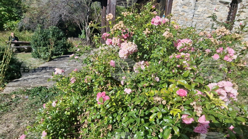 Троян - махала „Баба Стана“