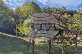 Троян - махала „Баба Стана“