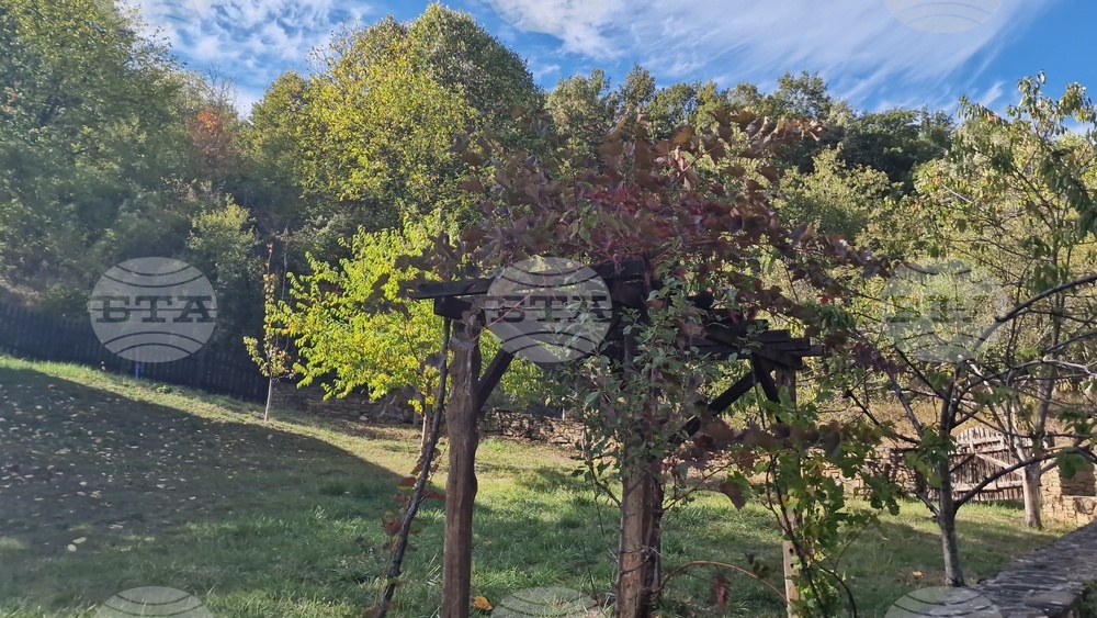 Троян - махала „Баба Стана“