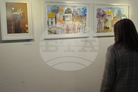 Кърджали - Коледна изложба