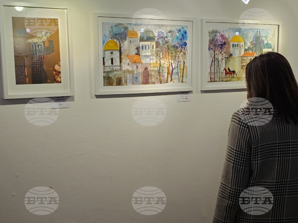 Кърджали - Коледна изложба