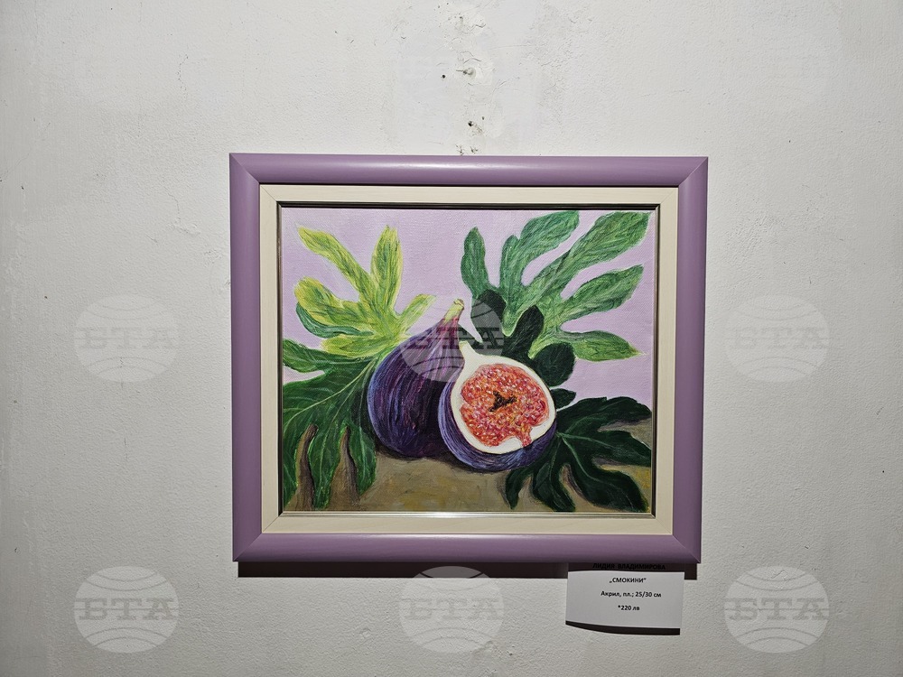 Кърджали - Коледна изложба