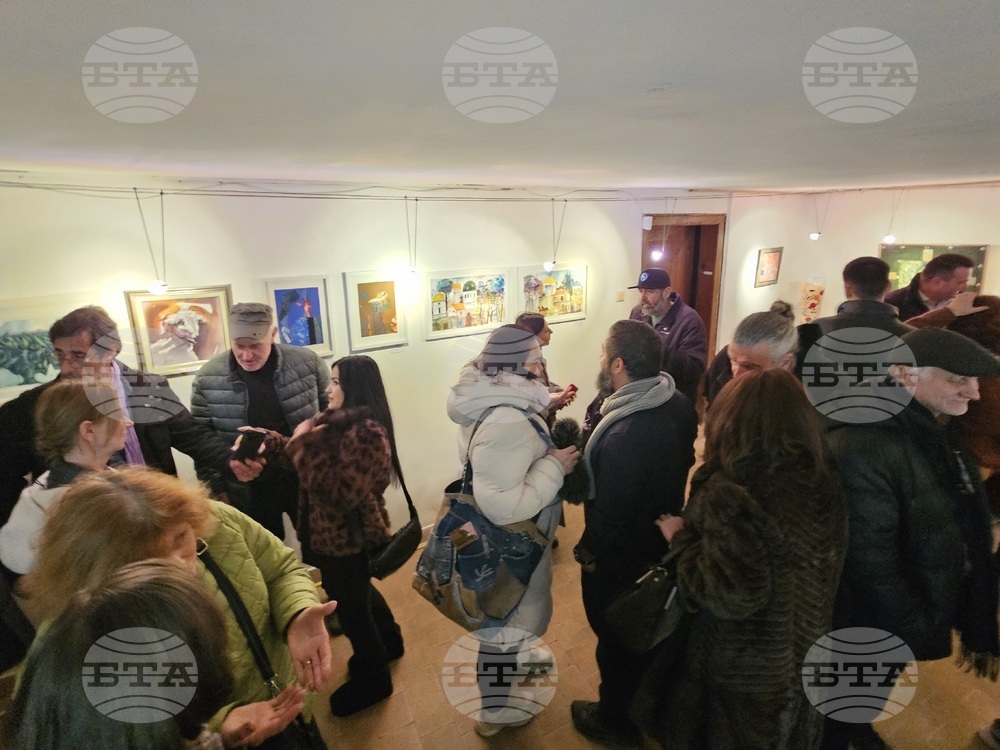 Кърджали - Коледна изложба