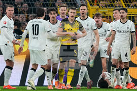 Germany Bundesliga Soccer