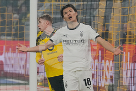 Germany Bundesliga Soccer