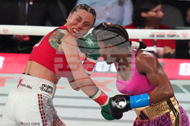 Dubois Panatta Boxing