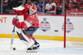 Hurricanes Panthers Hockey