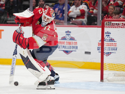 Hurricanes Panthers Hockey