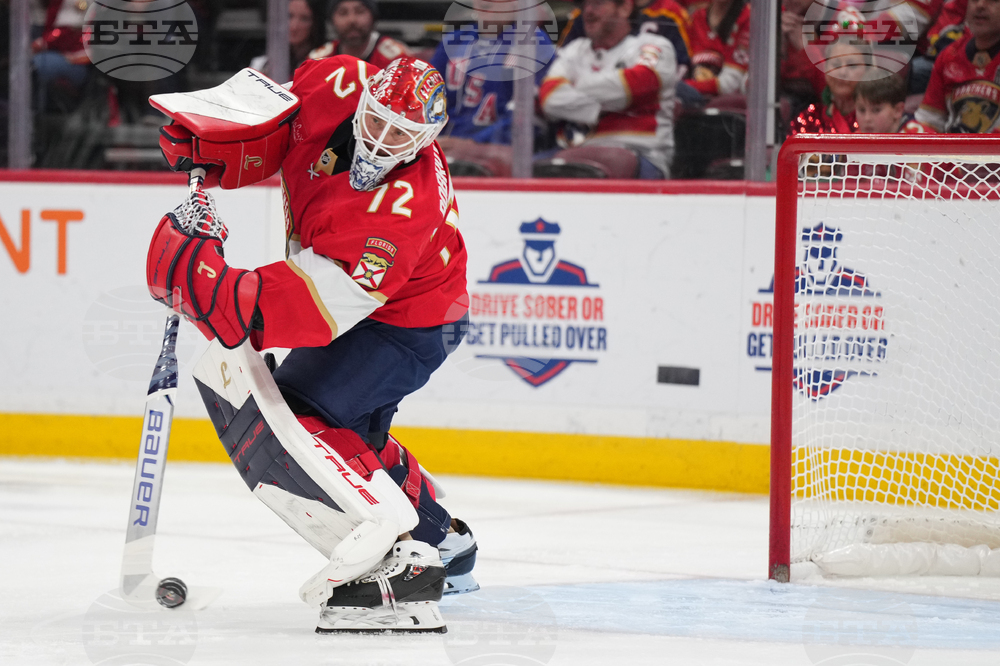 Hurricanes Panthers Hockey