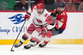 Hurricanes Panthers Hockey