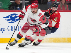 Hurricanes Panthers Hockey