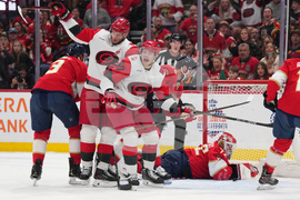 Hurricanes Panthers Hockey