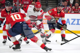 Hurricanes Panthers Hockey