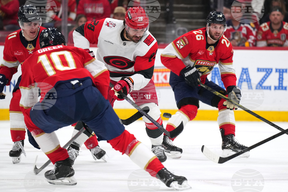 Hurricanes Panthers Hockey