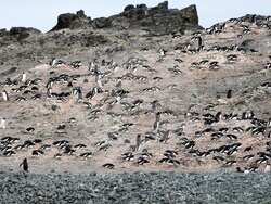 Climate Antarctica Photo Gallery