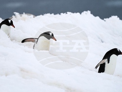 Climate Antarctica Photo Gallery