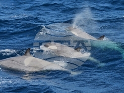 Climate Antarctica Photo Gallery