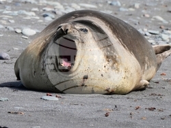 Climate Antarctica Photo Gallery