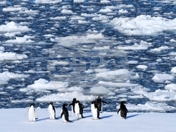 APTOPIX Climate Antarctica Photo Gallery