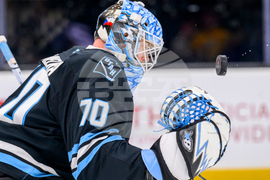 Devils Mammoth Hockey