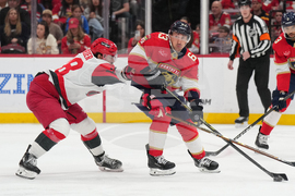 Hurricanes Panthers Hockey