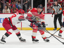 Hurricanes Panthers Hockey