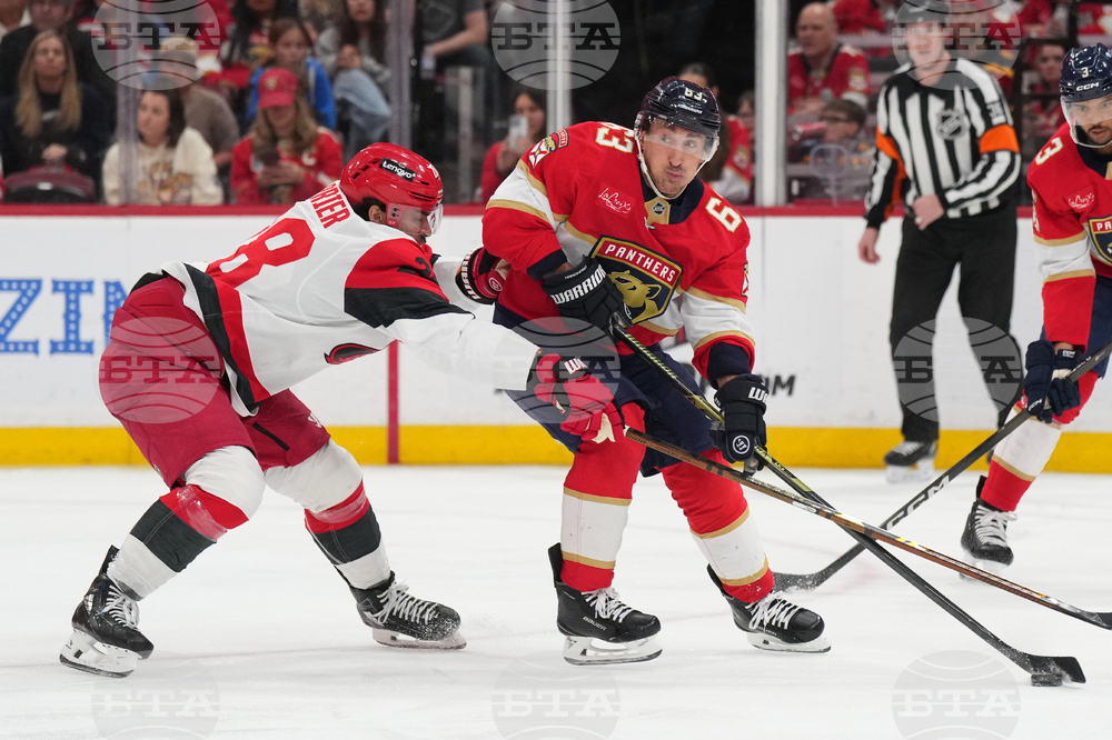 Hurricanes Panthers Hockey