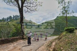 Climate Sri Lanka Cyclone Displacement